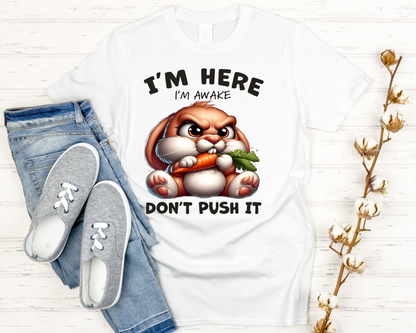 Short sleeve T-shirt